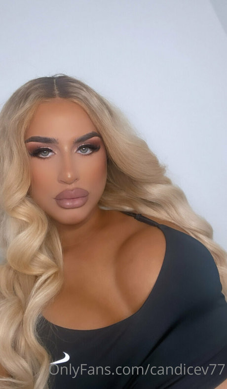 candicev77 HDスター アーカイブ