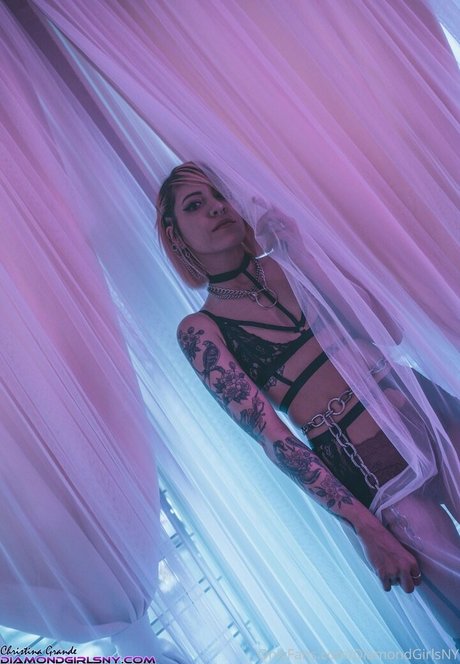 diamondgirlsny アートポルノスター ギャラリー