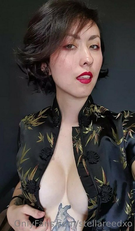 stellareedxo 裸のポルノスター 画像