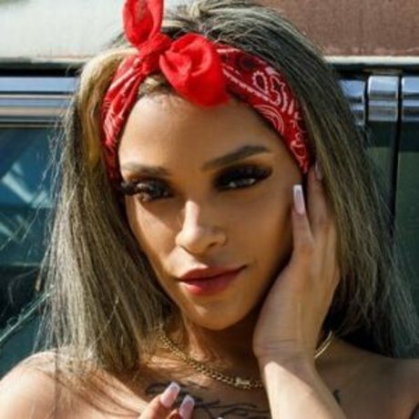 シックオンリーファン 美しい裸 アーカイブ