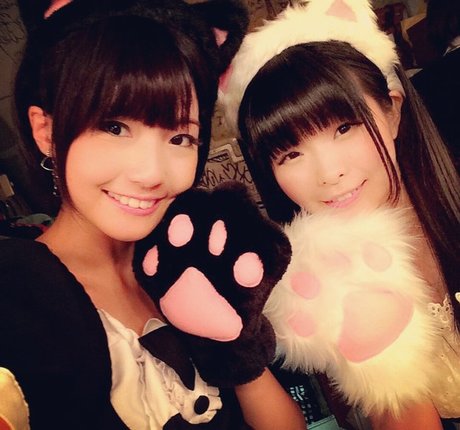 シックオンリーファン トップ アーカイブ