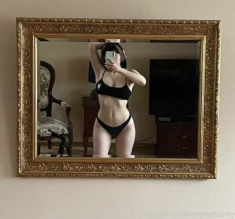 orphicbunny ホットスター 写真