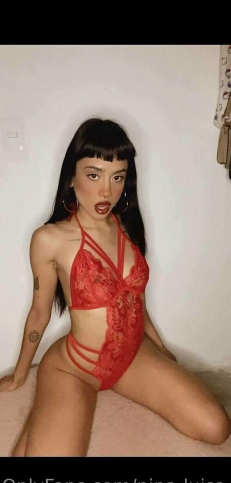 nina luisa ポルノスター 画像