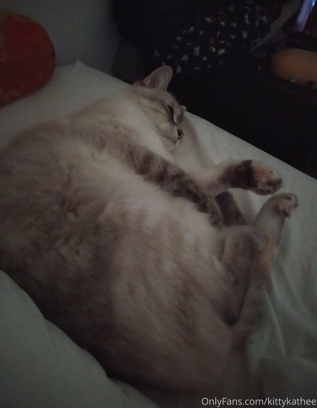 kittykathee モデル 写真