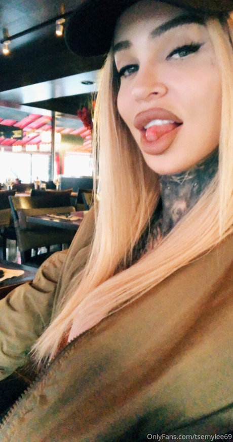 Emy Lee セックスモデル 写真