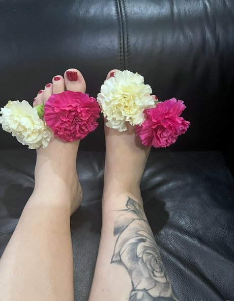 acebosswoman ホットスター 画像