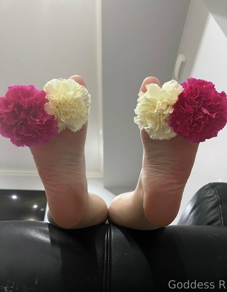 acebosswoman トップスター 画像