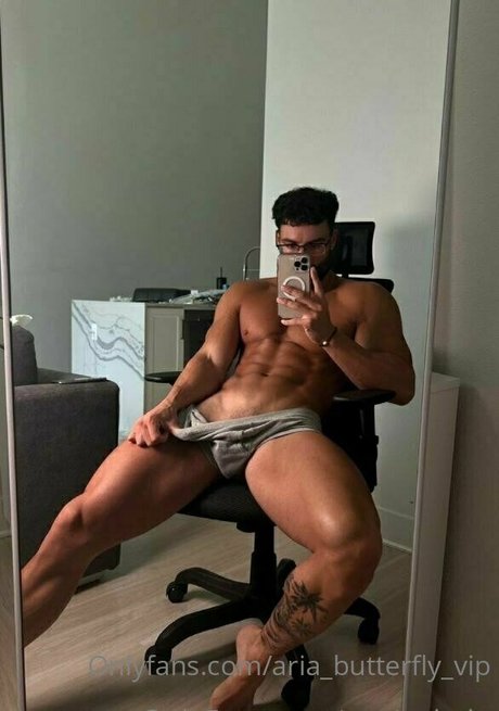 aria butterfly vip 完璧なモデル 写真