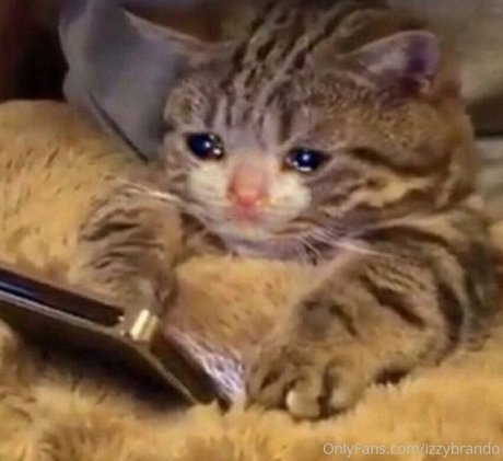 izzybrando HDモデル 画像