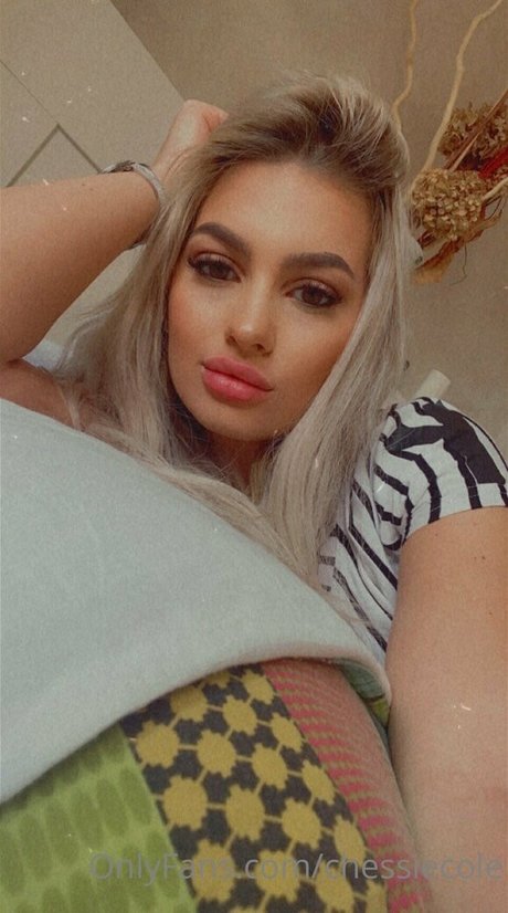 chessiecole HDスター 画像