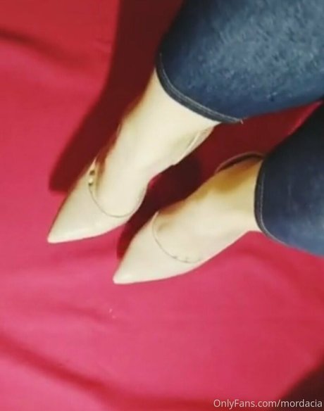 mordacia アートスター アーカイブ