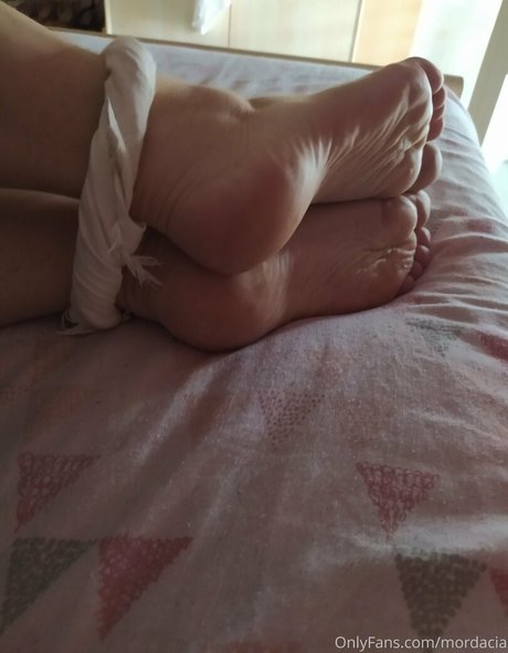 mordacia ポルノ女優 画像