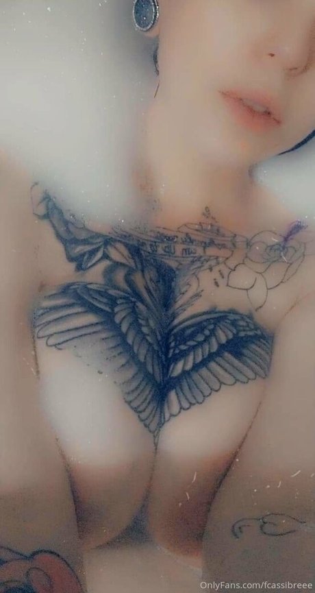 fcassibreee トップモデル ギャラリー