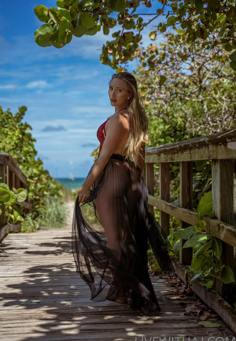 ajapplegatevip 素敵なスター ギャラリー